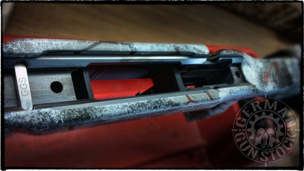 "RAPTOR" - Tikka T3(x) & T1x